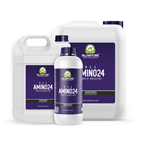 amino24